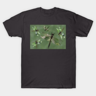 Dragonflys a darting T-Shirt